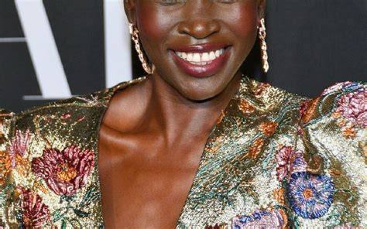 Alek Wek net worth
