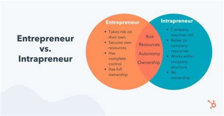 Difference between entrepreneur and intrapreneur