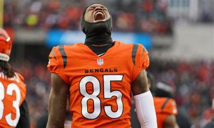 Fred Johnson BENGALS Salary, Contract, Height, PFF, Number, Draft