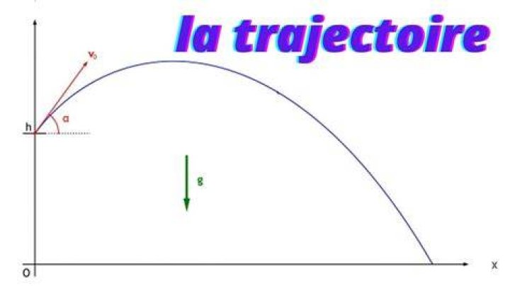 Poursuites académiques et trajectoire de carrière