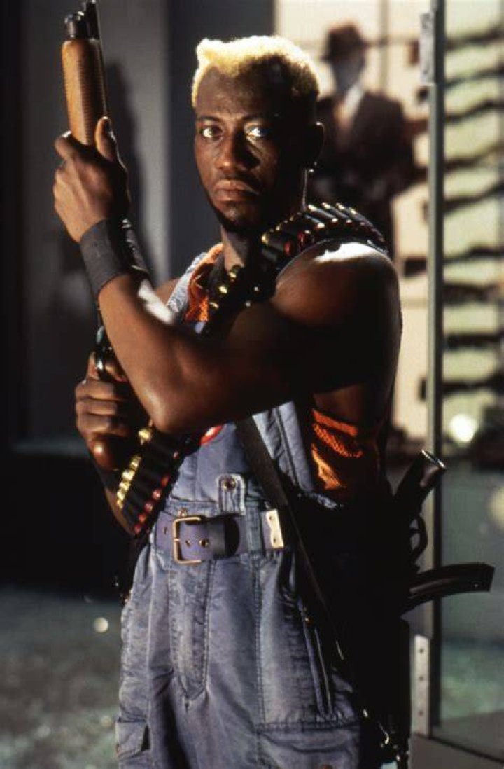 Wesley Snipes Net Worth, Wife, Height, Age, Children and Other Facts wesley snipes demolition man