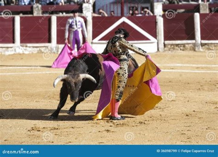 What is a capote in bullfighting
