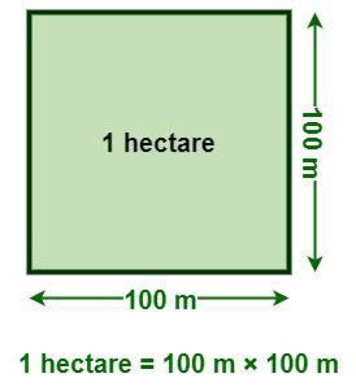 Why was hector written off the unit